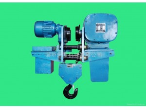 國(guó)外多選用此種結(jié)構(gòu)形式的電動(dòng)葫蘆。